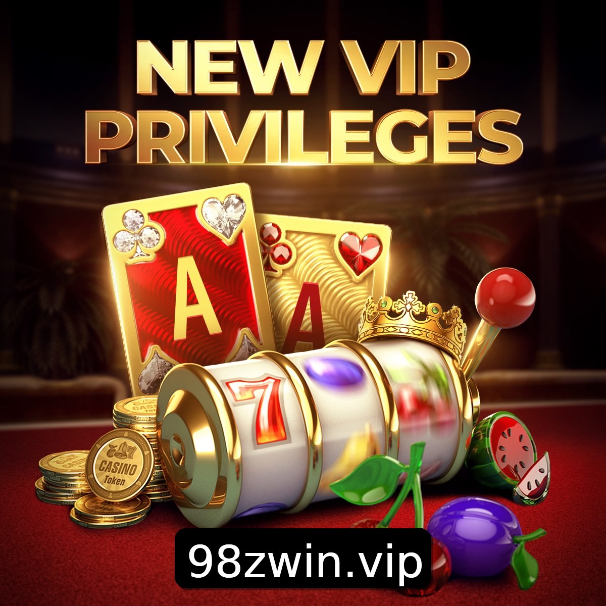 Programa VIP 98z